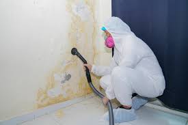 Best Forensic Mold Investigation in West Freehold, NJ